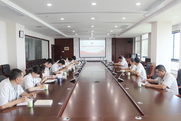 主題黨日會(huì)議現(xiàn)場.jpg